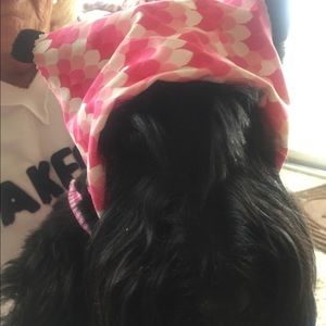 Meet your Posher, Robyn